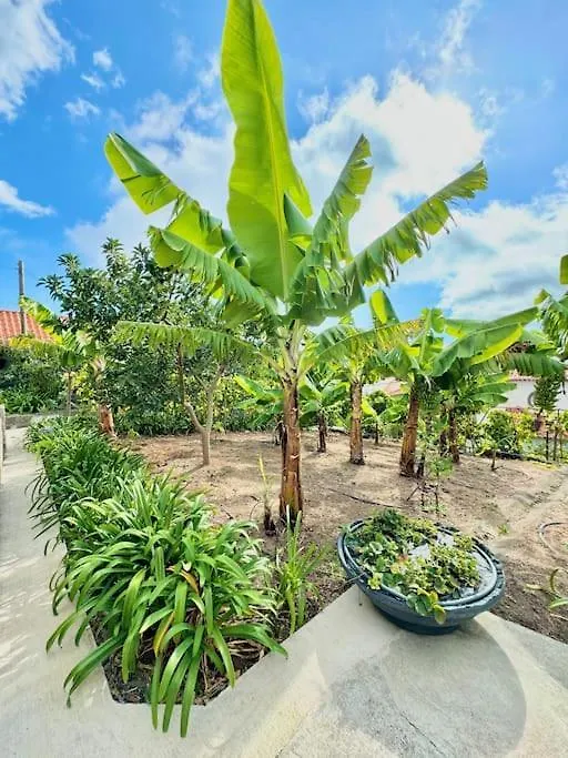 Casa Juliana Villa Ribeira Brava