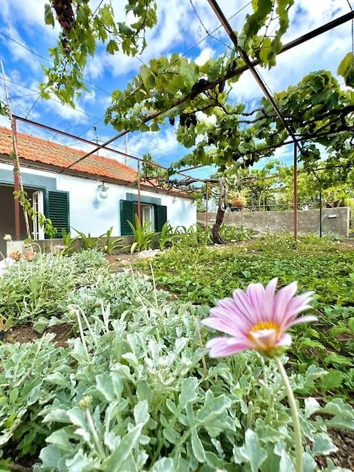 Vakantiehuis Casa Juliana Villa Ribeira Brava